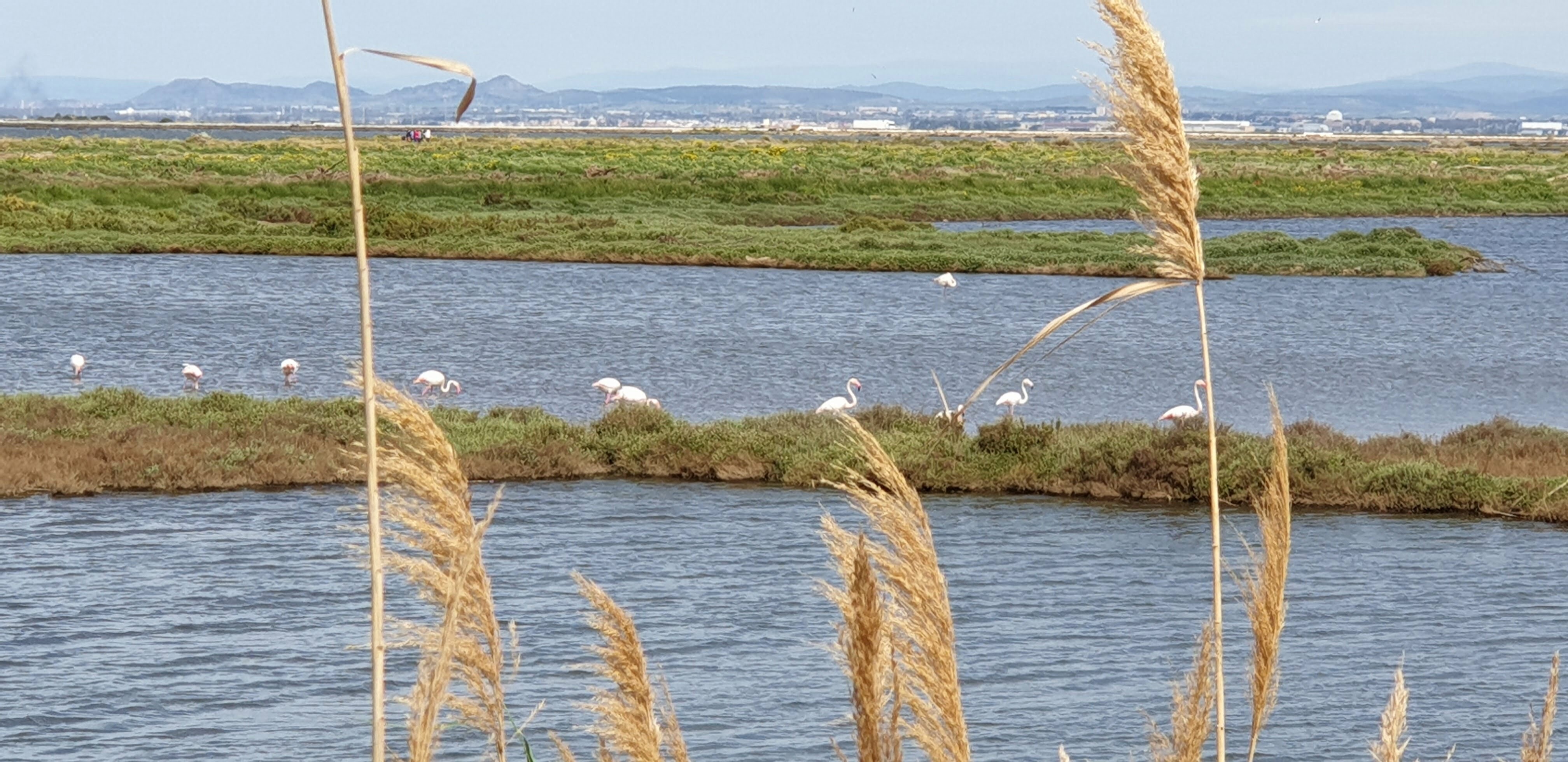 cosa-vedere-a-capoterra-sardegna