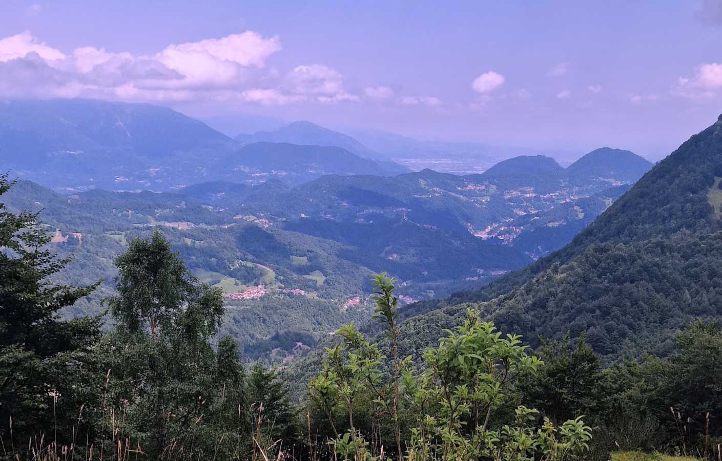 Sentiero-dei-grandi-alberi